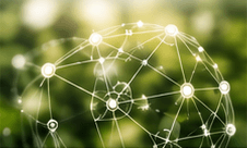 A network of connected points over green foliage